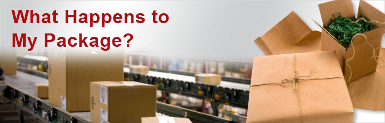 International skybox courier service